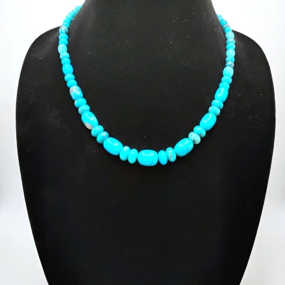 Jay King Desert Rose Trading Turquoise Necklace 925